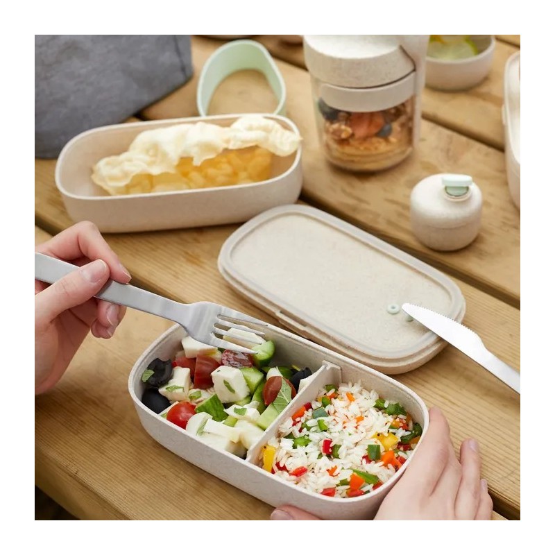 Single lunchbox to go  organic | Things