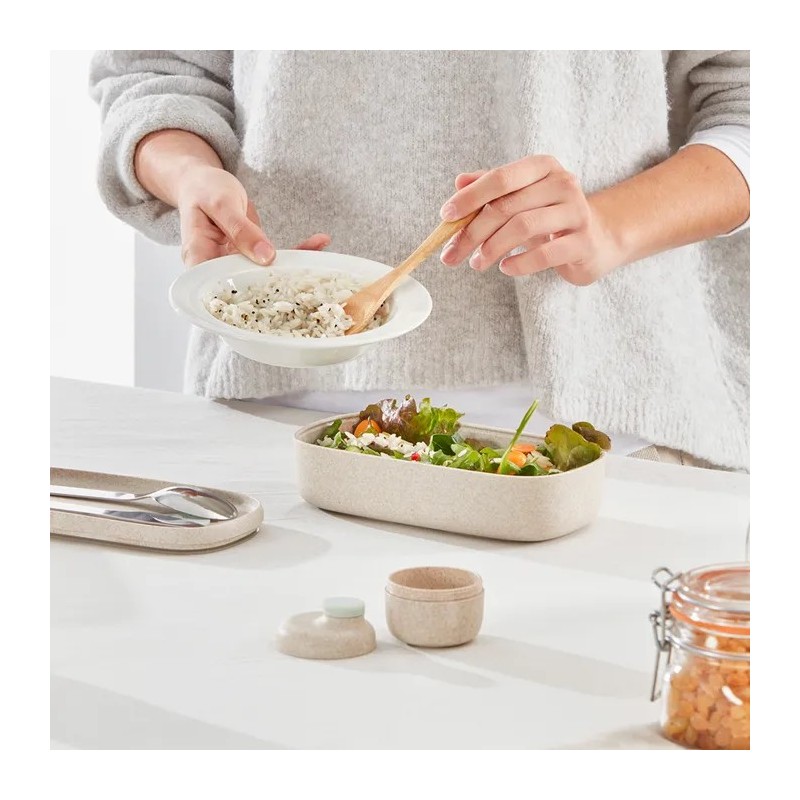 Single lunchbox to go  organic | Things