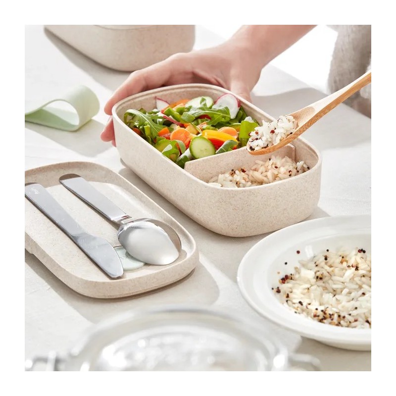 Single lunchbox to go  organic | Things