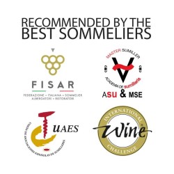 Tapón Antiox para bebidas efervescentes