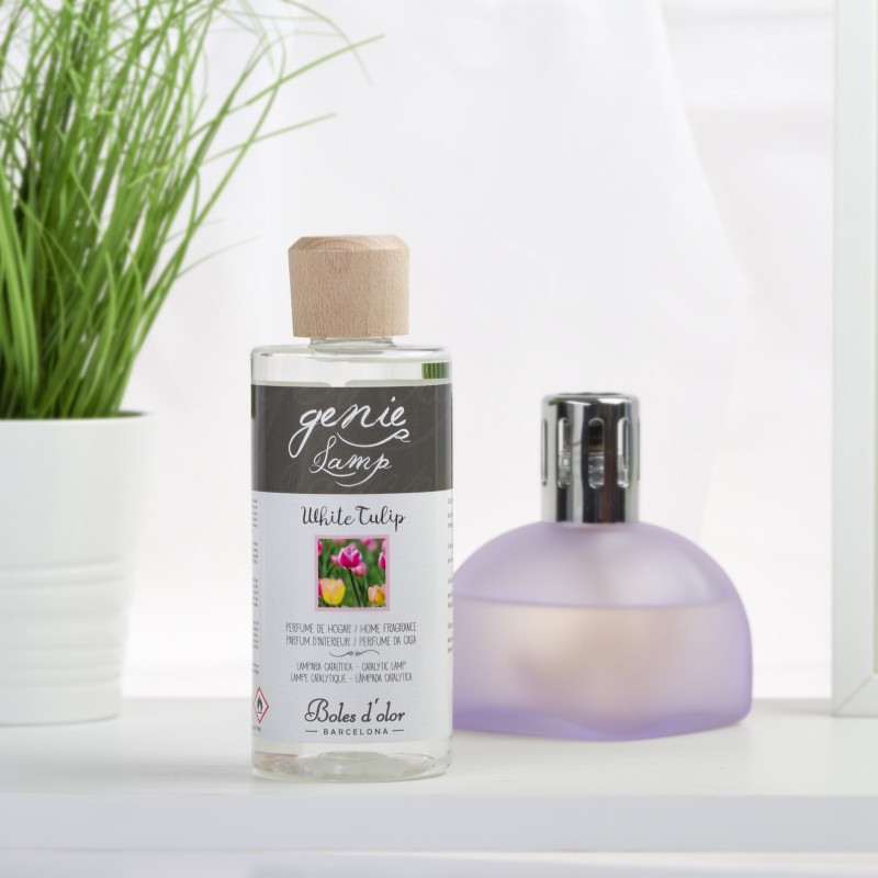 Genie lamp cotonet | Things