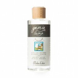 Genie lamp cotonet | Things