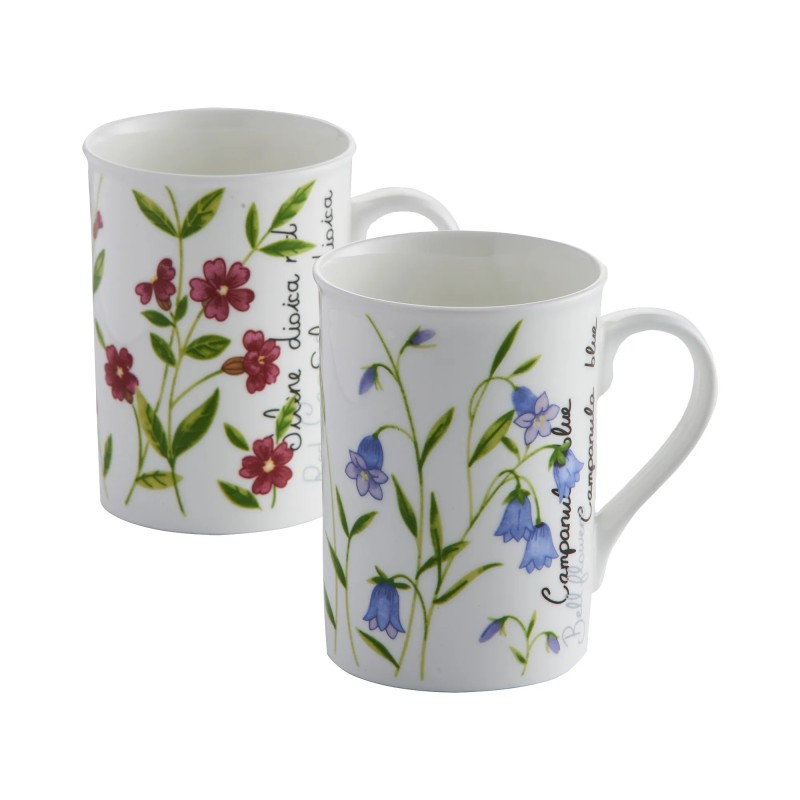 Mug Botanical