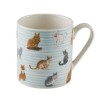 Mug Cats