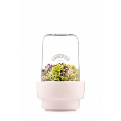 Set para germinados Kilner con brotes dentro del tarro