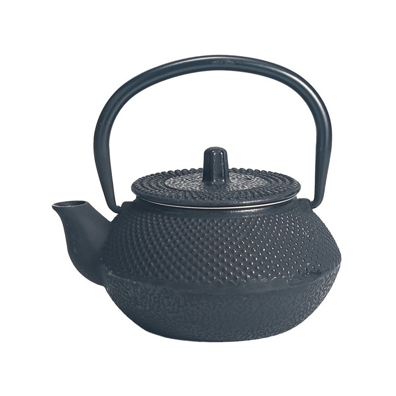 Tetera Tetsubin Kyusu 0,3 l