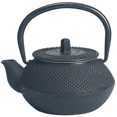 Tetera Tetsubin Kyusu 0,3 l