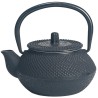 Tetera Tetsubin Kyusu 0,3 l