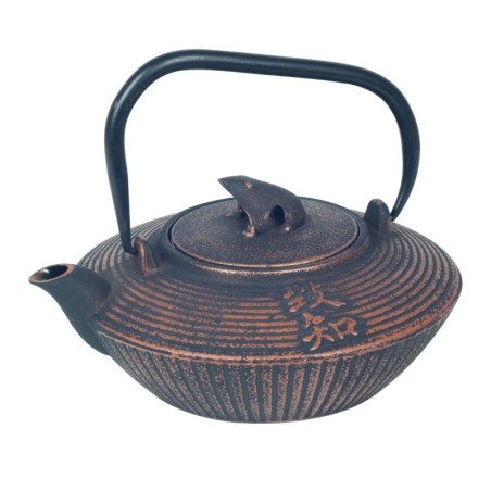 Tetera Tetsubin Kyusu 1,2 l