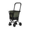 Carro Easy Go verde