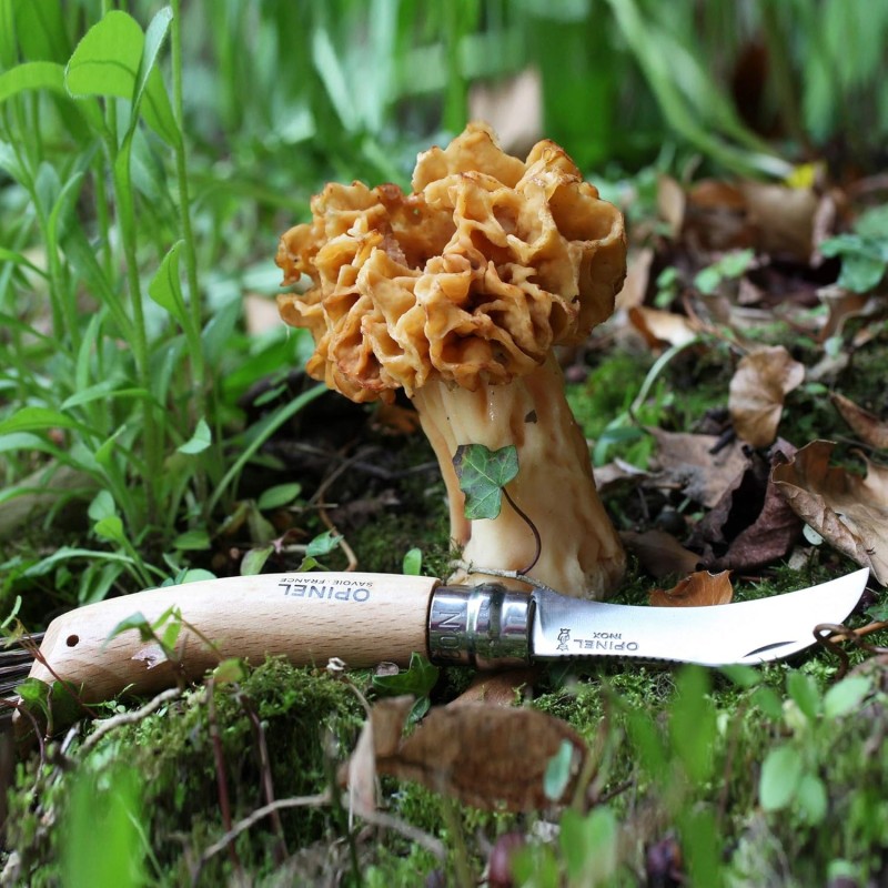Navaja Opinel  Especial Setas con Cepillo | Things