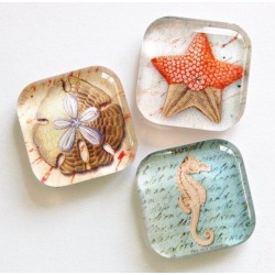 Imán de Resina 🧲 Decorativo y Resistente para Nevera