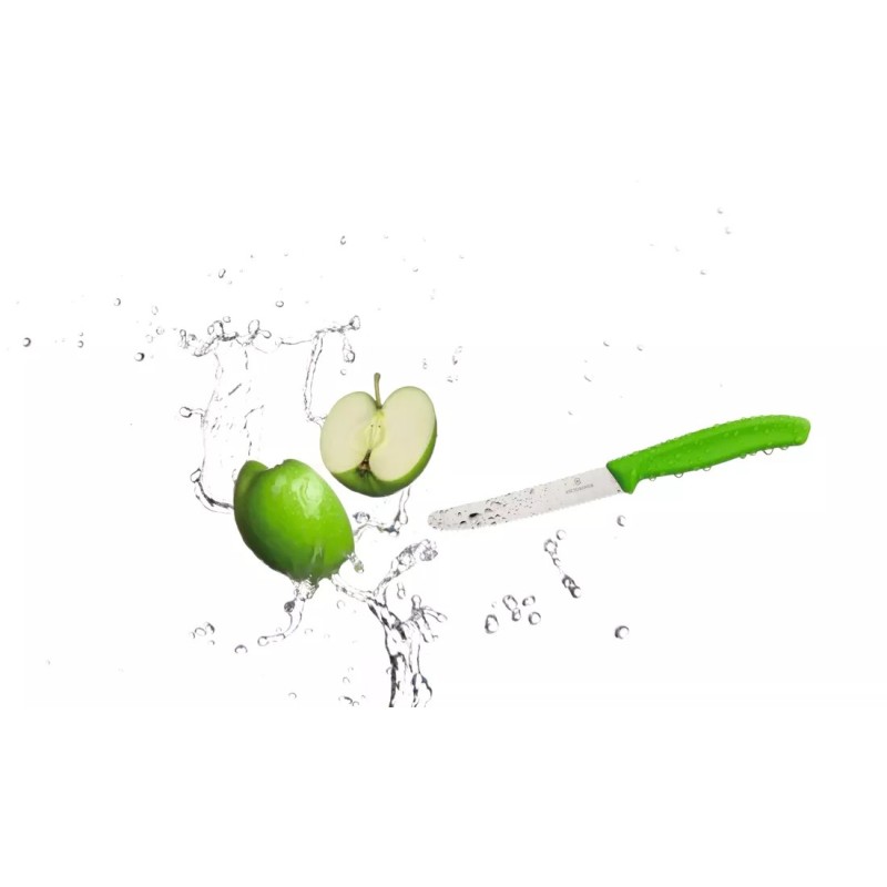Cuchillo para tomates filo dentado y punta redonda Swiss Classic | Things