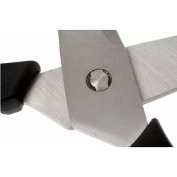 Tijeras de Cocina Multiusos Wüsthof 20 cm Desmontables | Things