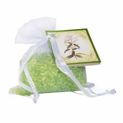 Mini Resinas Perfumadas Verbena 40 g | Boles d'olor